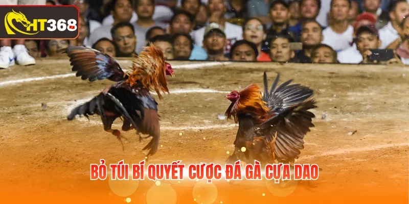 Bỏ túi bí quyết cược đá gà cựa dao