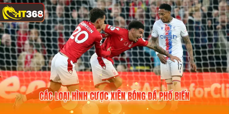 Các loại hình cược xiên bóng đá phổ biến