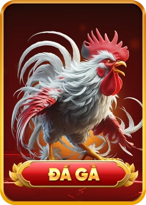 đá gà ht368