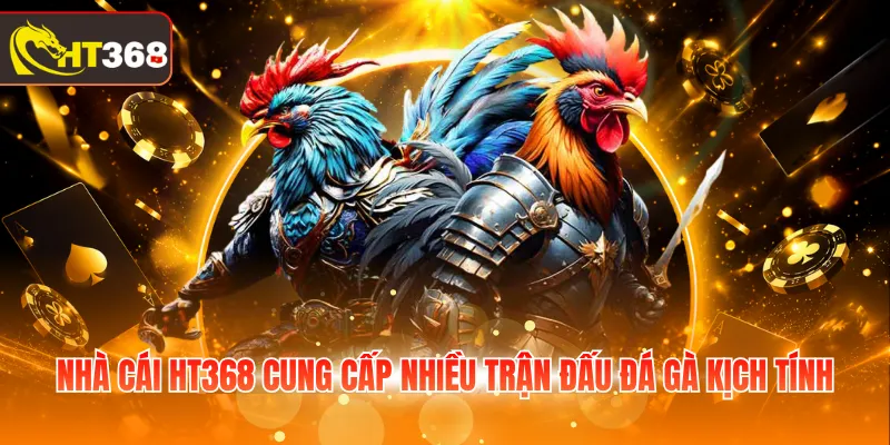 Nhà cái HT368 cung cấp nhiều trận đấu đá gà kịch tính
