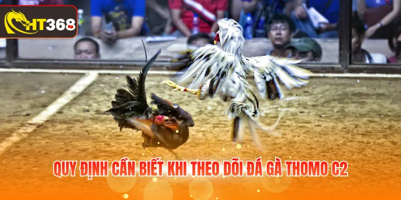 Quy định cần biết khi theo dõi đá gà Thomo C2