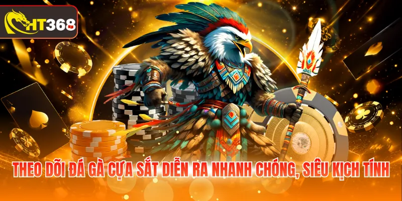 Theo dõi đá gà cựa sắt diễn ra nhanh chóng, siêu kịch tính